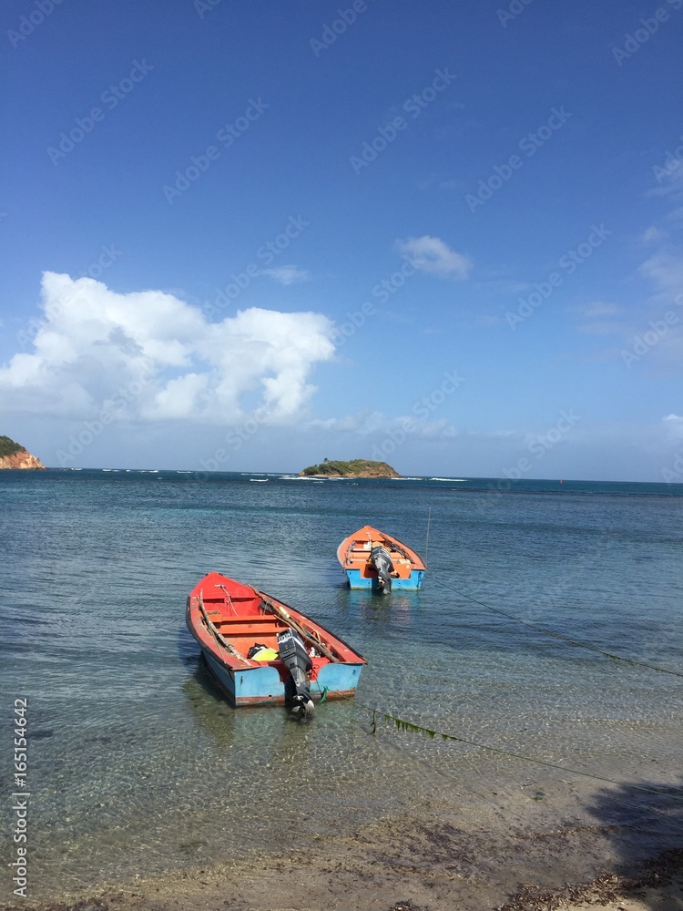 Barques Martinique