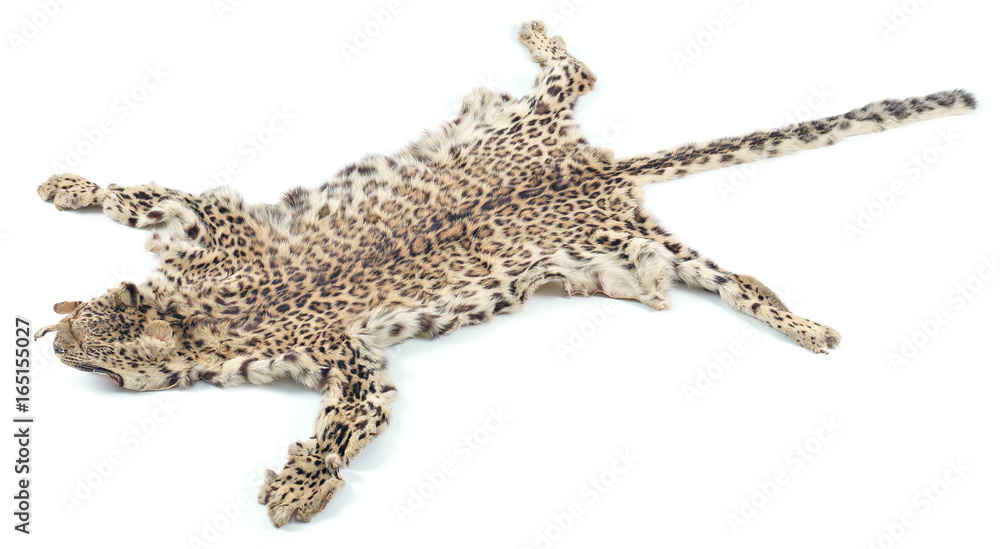 Naklejka premium leopard skin