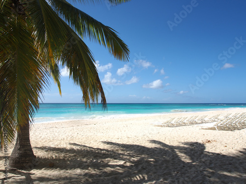 tropical island beach