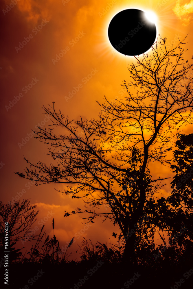 Fototapeta premium Amazing scientific natural phenomenon. Total solar eclipse glowing on sky.