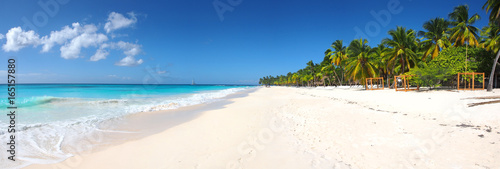 Fototapeta Naklejka Na Ścianę i Meble -  Isla Saona tropical beach panorama