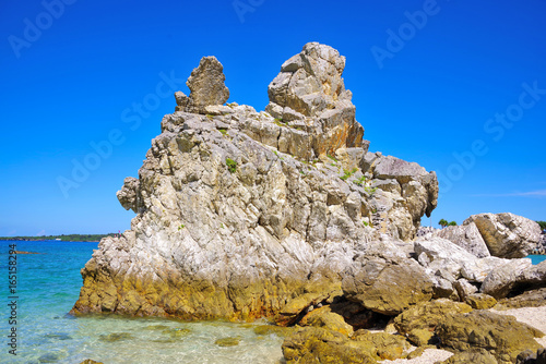 ゴリラの横顔の形をした岩