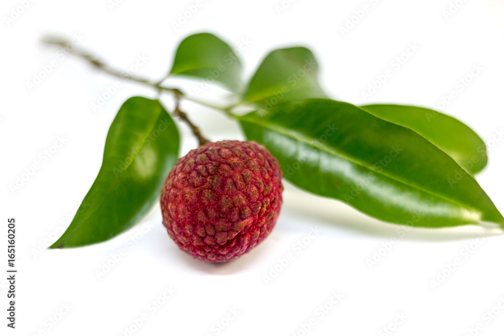 fresh fruit lychee with green leaf on white background, Asian sweet fruit. fresh fruit lychee with green leaf on white background, Asian sweet fruit.