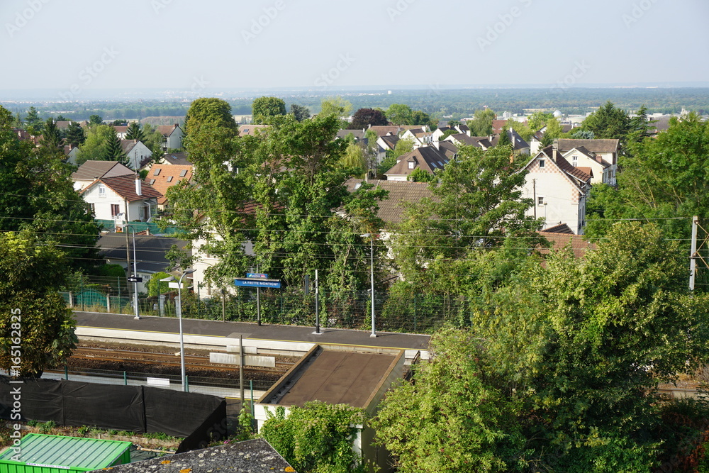 Vue panoramique sur la Gare et la Frette sur seine