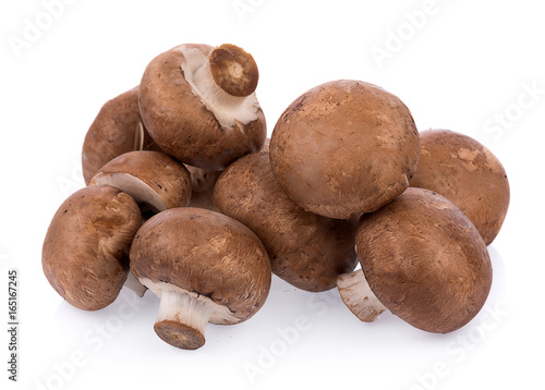 Mushroom champignon isolated on white background