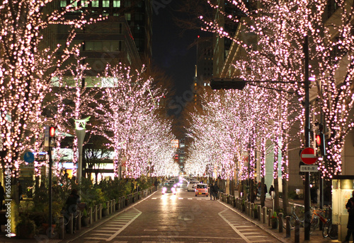 Photography Tokyo (Marunoichi) Christmas Illumination Road