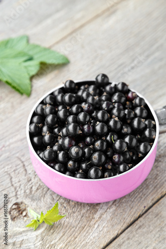 black currant berries