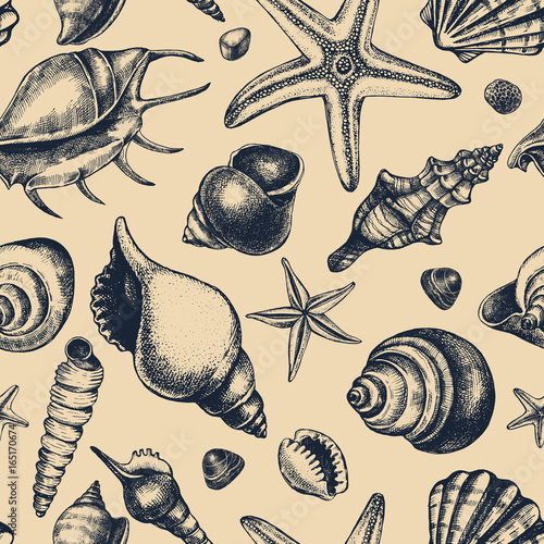 Decorative seamless pattern with ink hand-drawn different types mollusk sea shells, starfishs and pebbles. Marine elements texture. Vector illustration.