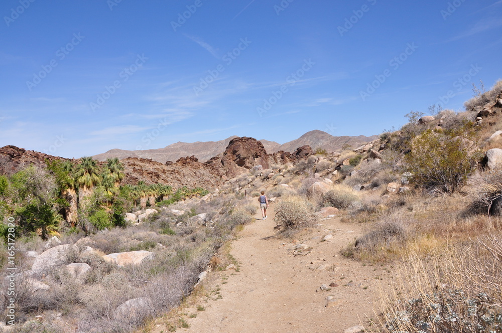 Indian Canyons de Palm Springs