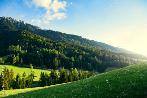 Beautiful green mountains nature landscape at summer