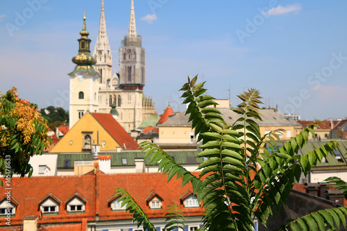 Zagreb skyline with Zagreb Cathedral and St. Mary Church. View from Strossmayer Promenade on Upper Town. Plant in the foreground, selective focus.