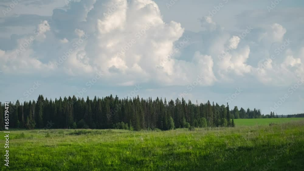 Green lush meadow, forest and fluffy summer clouds timelapse Green lush meadow, forest and fluffy summer clouds timelapse
