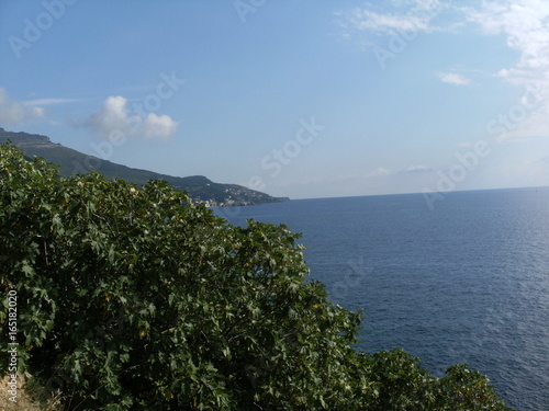 CORSE ILE DE BEAUTE