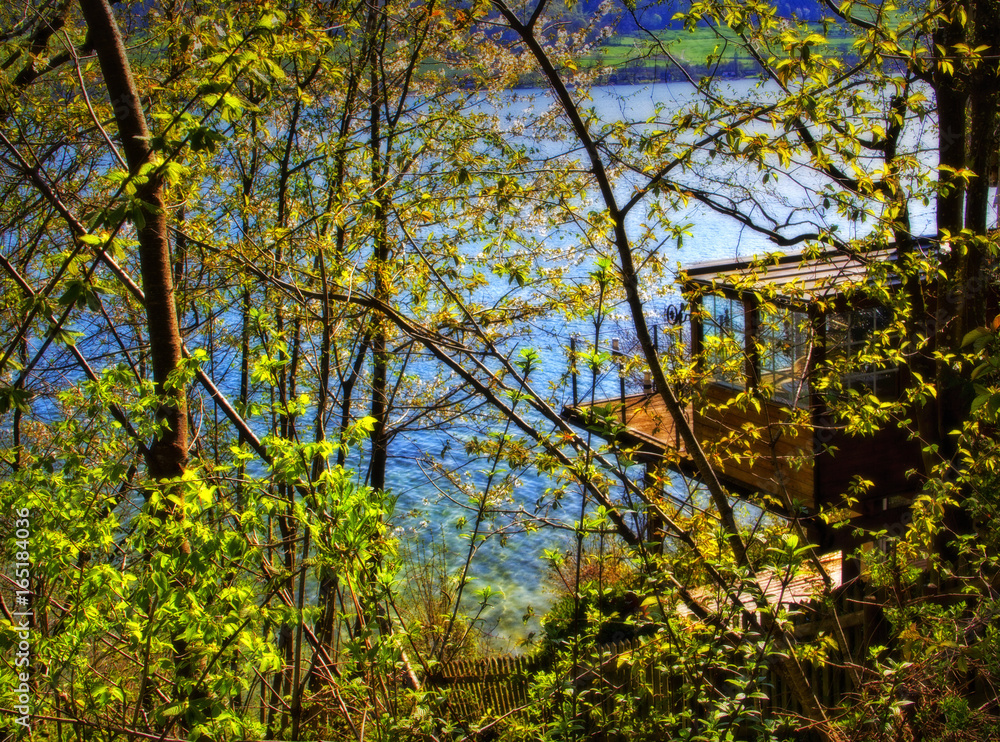 Fototapeta premium Haus am See