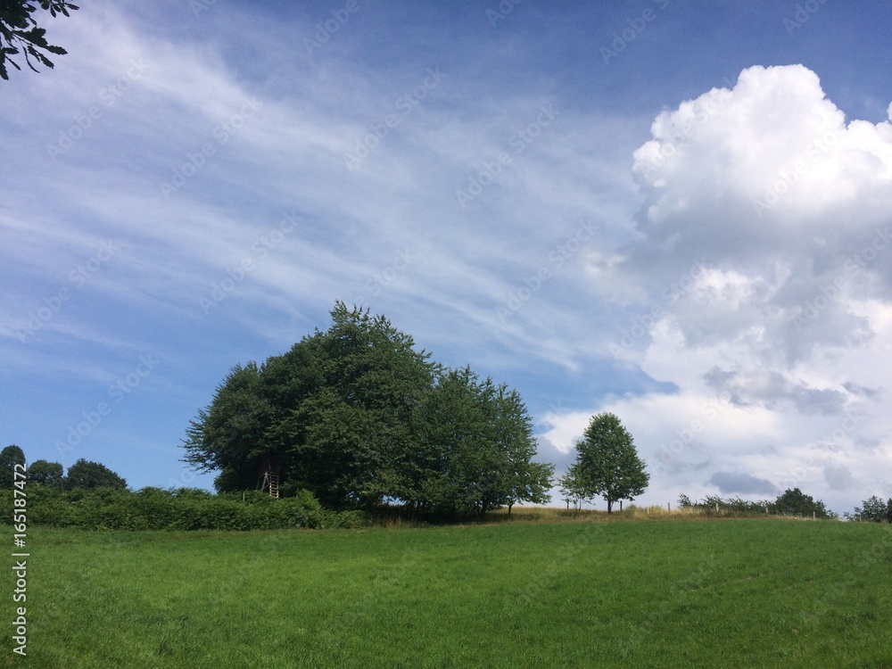 Himmel zieht auf nach Regen über Naturlandschaft Himmel zieht auf nach Regen über Naturlandschaft