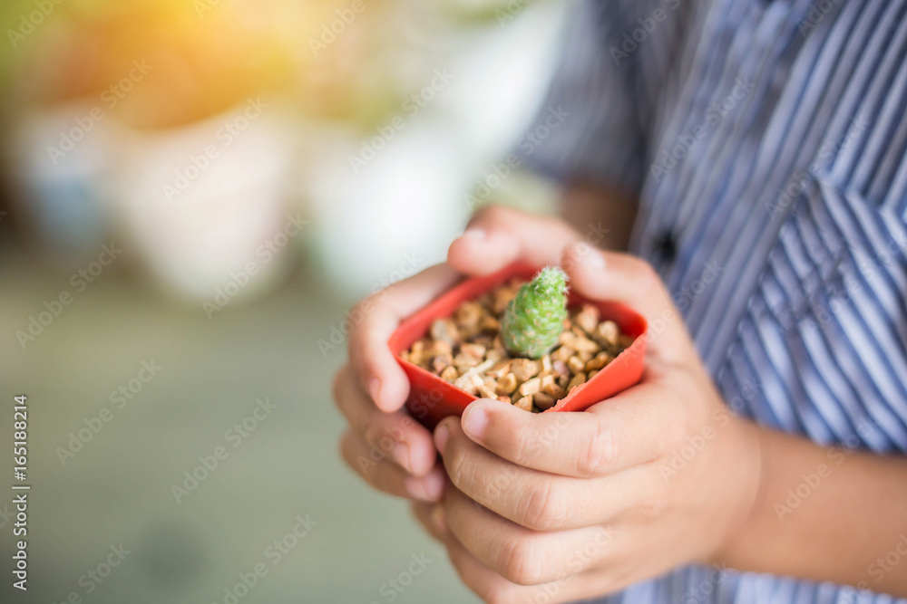 Flower pots on the child's hands Flower pots on the child's hands
