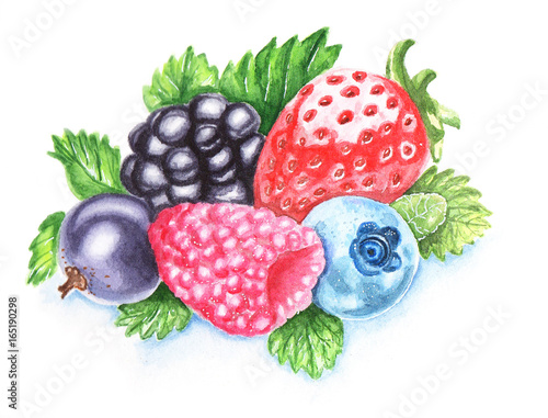 Summer berries watercolour hand-painted illustration