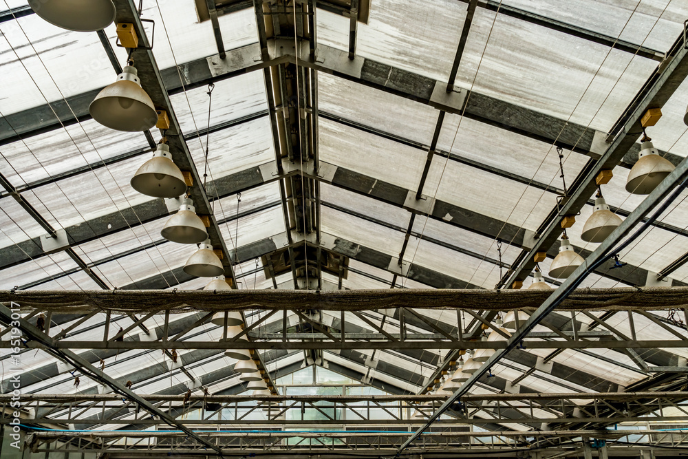 Fan system of greenhouse Fan system of greenhouse