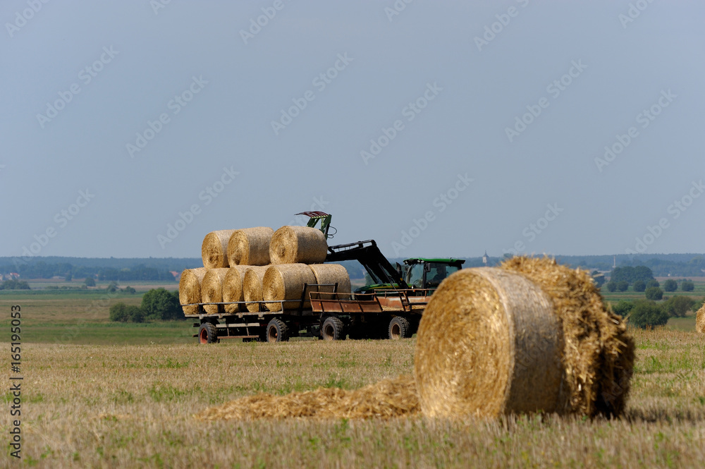 Obraz premium Strohballenernte auf einem Feld