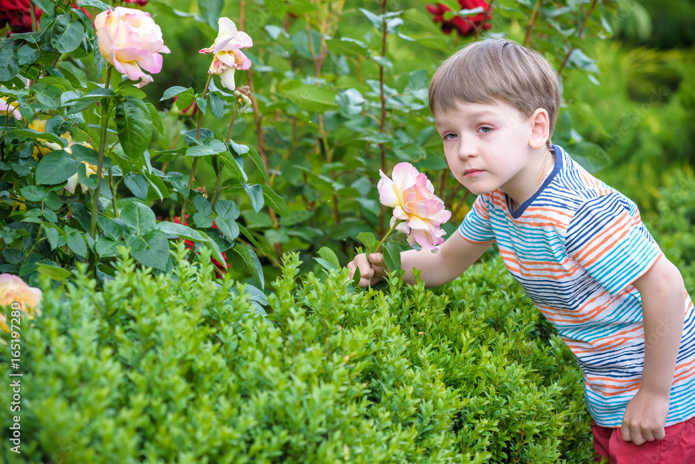 A portrait of a boy smiling and smelling a rose. A portrait of a boy smiling and smelling a rose.