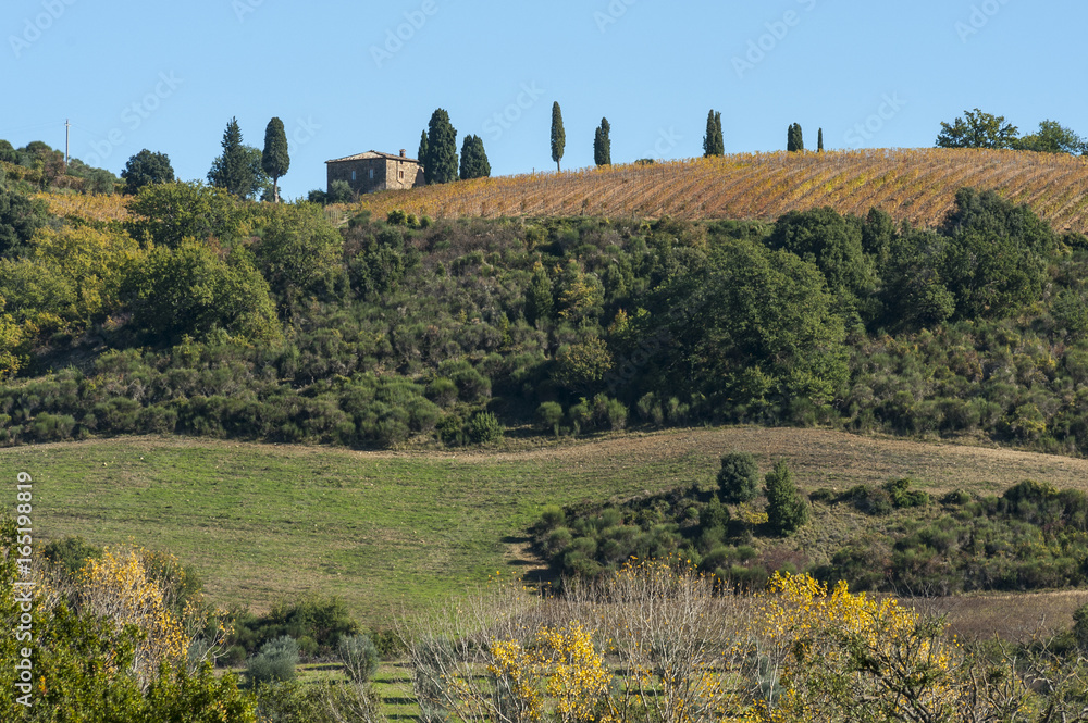 Landscape around the Romanesque Abbey of Sant Antimo is a former Benedictine monastery in the comune of Montalcino, Tuscany.