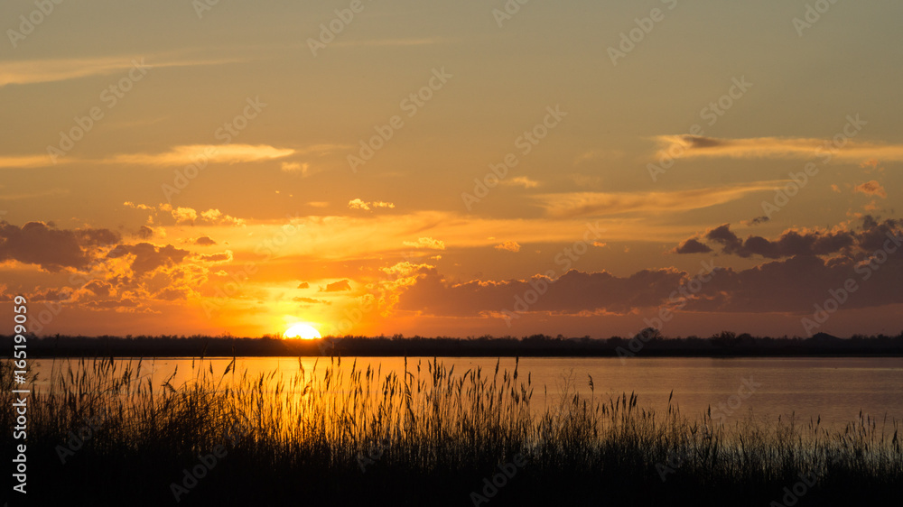 Couché de soleil camarguais Couché de soleil camarguais
