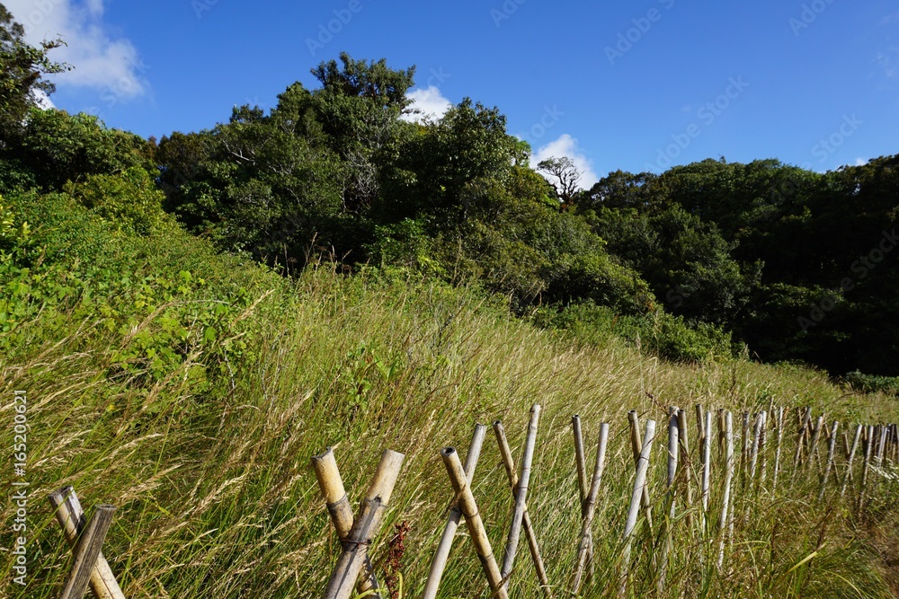 Fototapeta premium nature country in north Thailand
