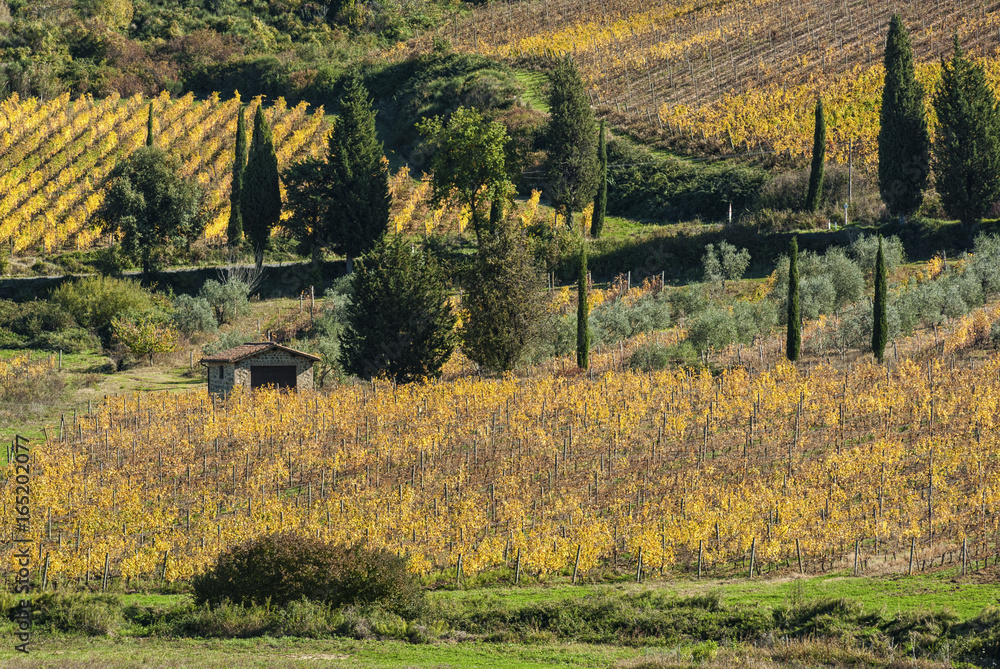 Φωτογραφία Landscape around the Romanesque Abbey of Sant Antimo is a former Benedictine monastery in the comune of Montalcino, Tuscany