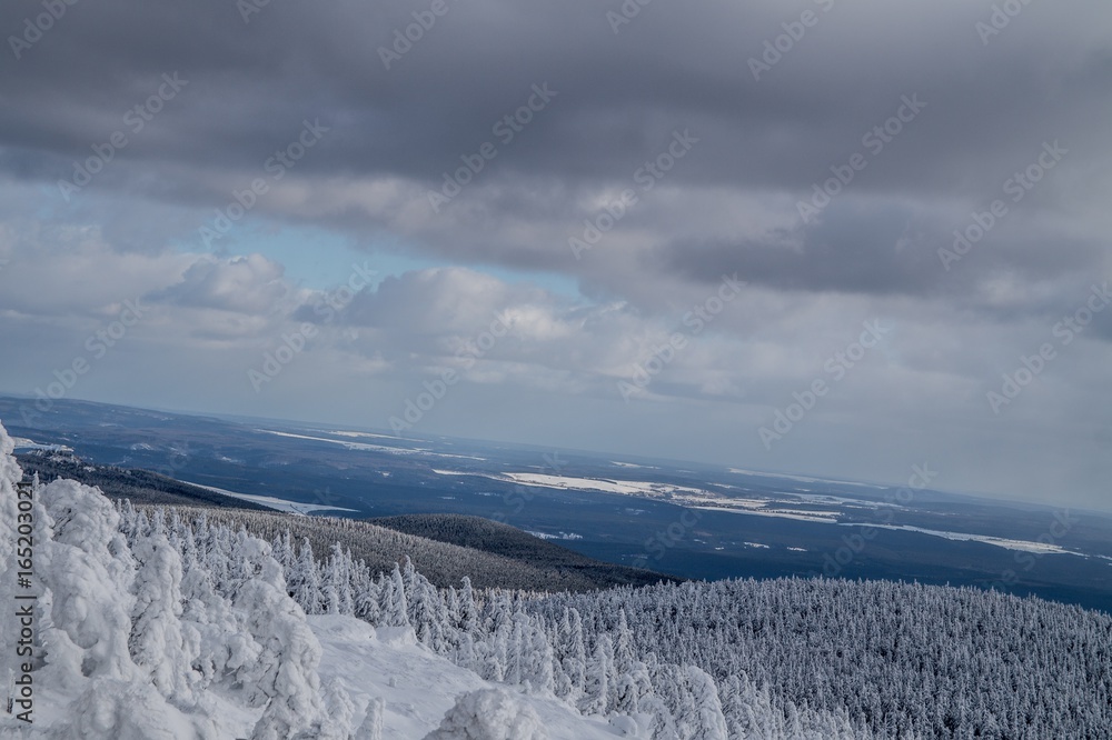 Harz Brocken Winter Schnee Berg Kalt