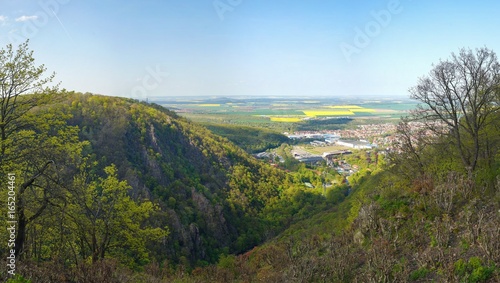 Harz Thale Okertal Berg Felz