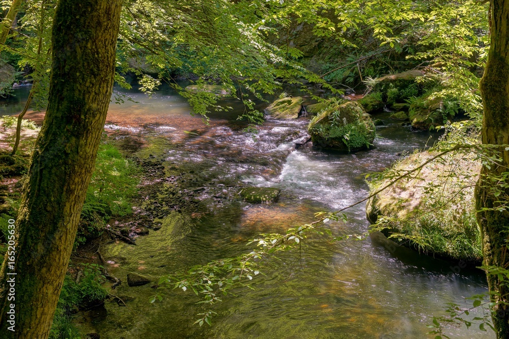 Sächsische Schweiz 2017 Wandern Berge Natur Sächsische Schweiz 2017 Wandern Berge Natur