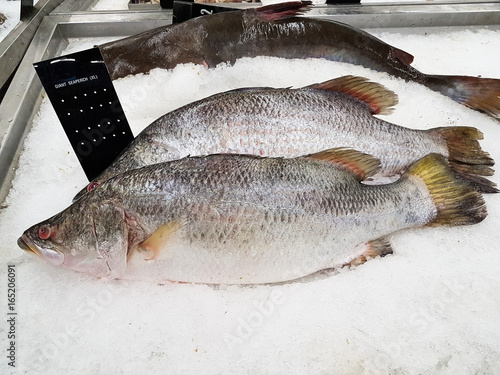Wallpaper Mural fresh giant seaperch on ice at the seafood booth Torontodigital.ca