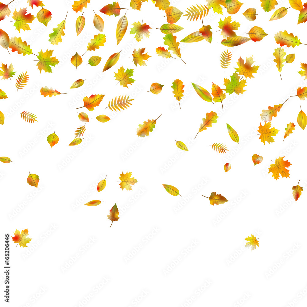 Falling autumn leaves. EPS 10 vector