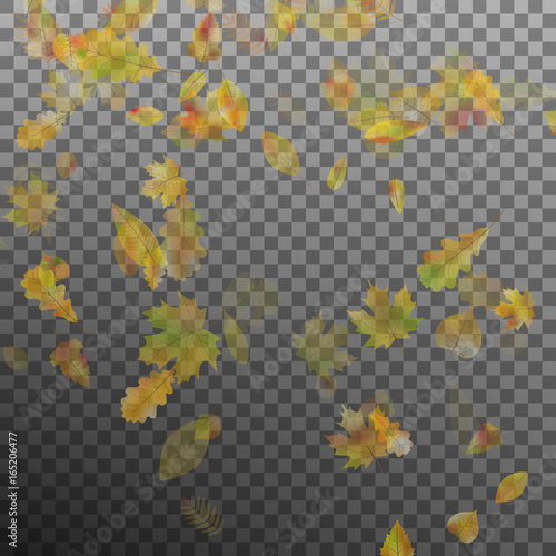 Falling autumn leaves. EPS 10 vector
