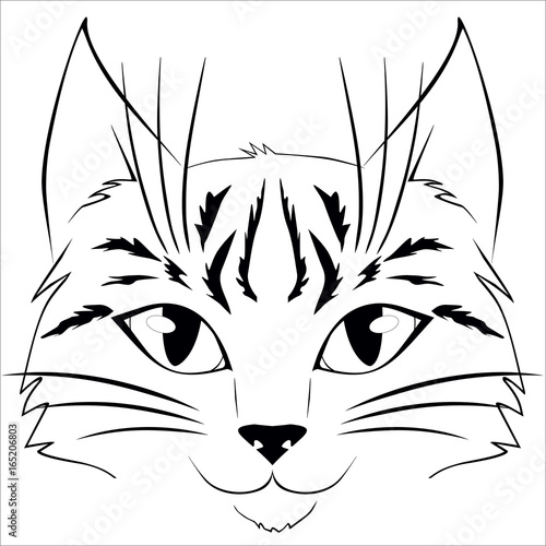 Cat face vector art