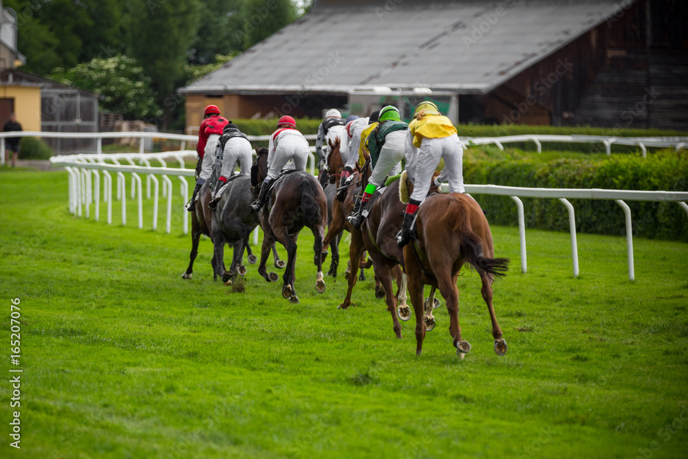 Race horses with jockeys on the home straight Race horses with jockeys on the home straight
