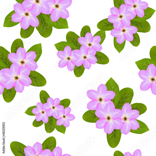 Fototapeta Naklejka Na Ścianę i Meble -  Pink spring flowers on white background seamless pattern