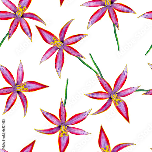 Australian orchid flower watercolor seamless pattern. Bright tropical flowers isolated on white background  hand-drawn design for background  walpaper  textile  wrap and etc.