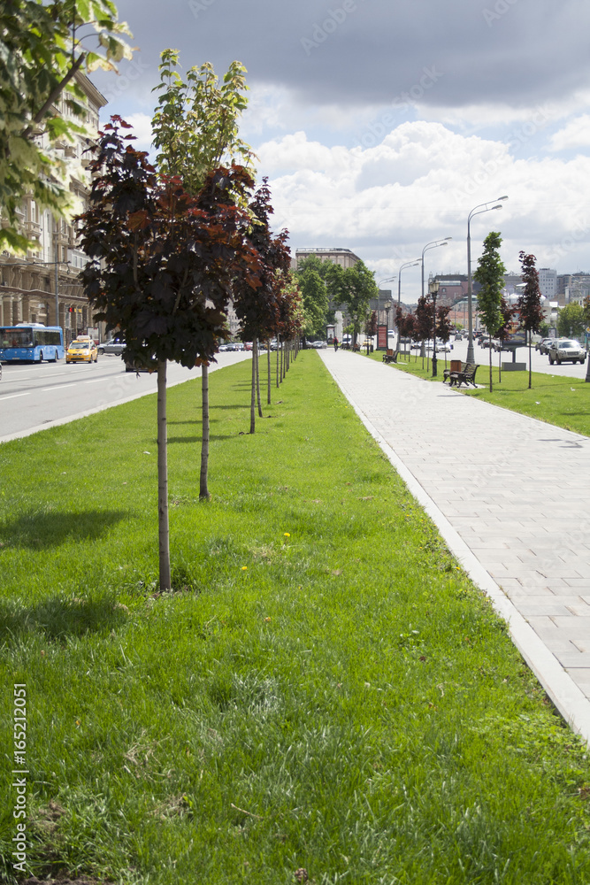 City street sidewalk alley with grass and trees. background, city, nature