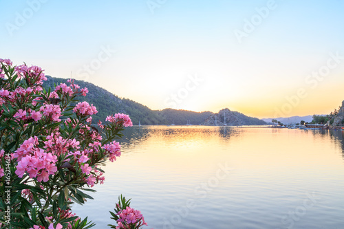 Fototapeta Naklejka Na Ścianę i Meble -  Kizkumu beach with oleander tree during sunset in Marmaris, Turkey