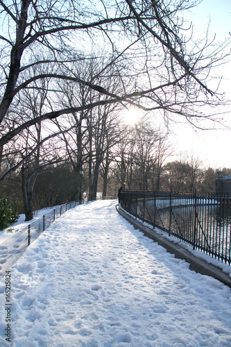 Snow covered walkway next to fence at Central park