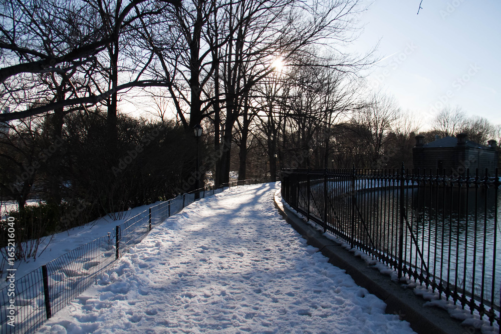 Silhouette of trees on snow and walkway near fence at park Silhouette of trees on snow and walkway near fence at park