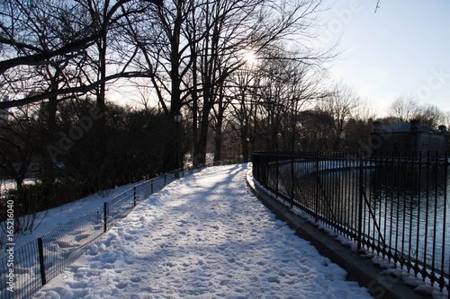 Silhouette of trees on snow and walkway near fence at park © Spinel