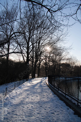 Silhouette of trees on snow and walkway near fence with sunset © Spinel