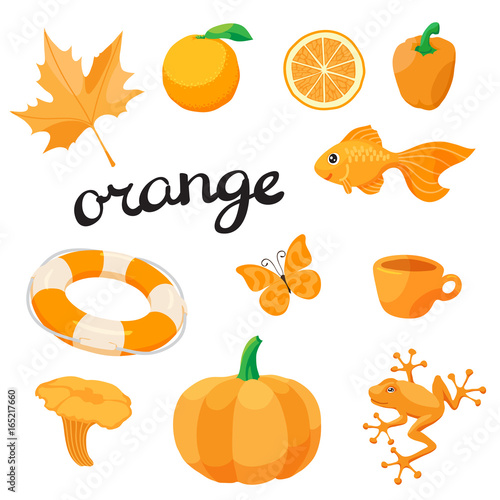 Orange. Learn the color. Education set. Illustration of primary colors. Vector illustration