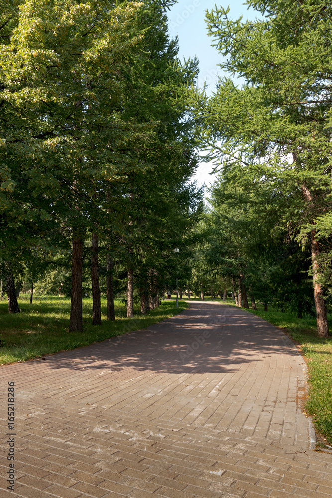 city park for walking city park for walking