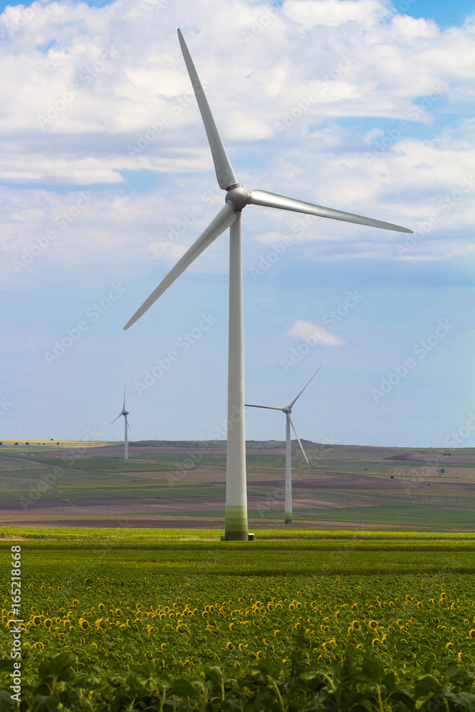 eolian wind turbine in sunflower field eolian wind turbine in sunflower field