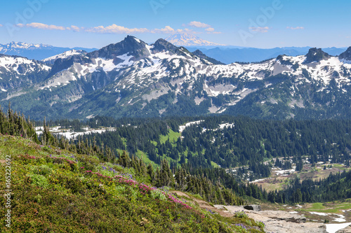 Cascade Mountains, Mount Rainier National Park