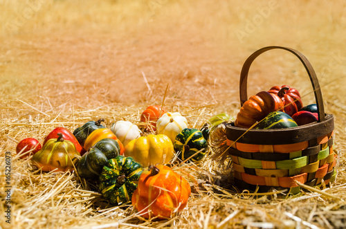 Basket with Autumn harvest vegetables background photo