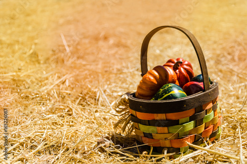 Basket with Autumn harvest vegetables background photo